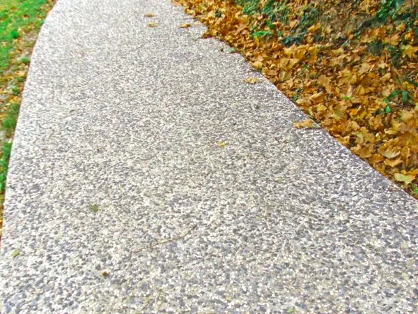 Hormigón lavado con árido visto en camino de jardín en Bilbao